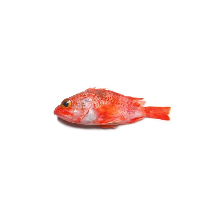 Peixe Vermelho